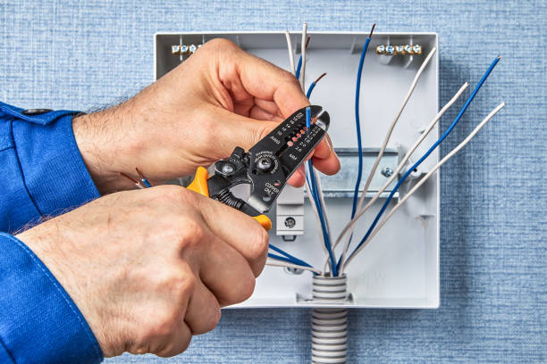 Best Electrical Panel Upgrades  in Fernandina Beach, FL